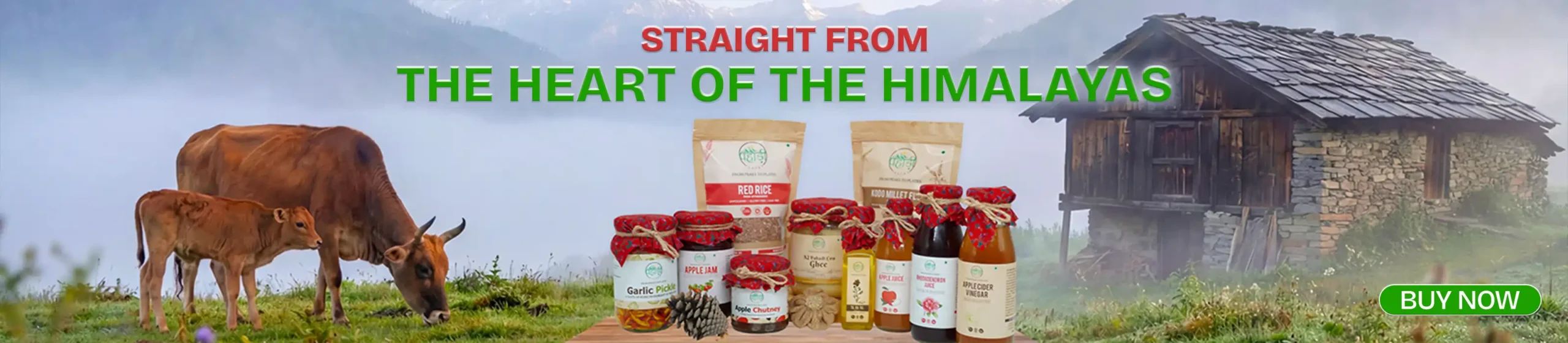 Banner Pahadipantry 2026-PC-1